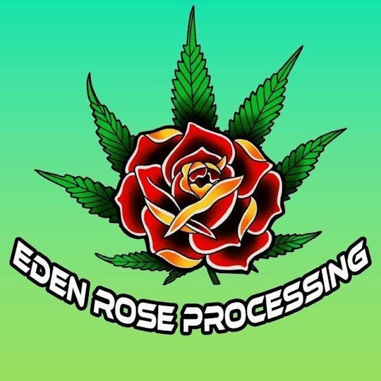 Eden Rose Processing - Ready To Roll | Indica - 1