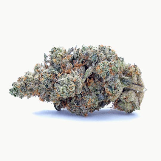 High Tide Organics - Black Truffle | Indoor 3.5g - 1
