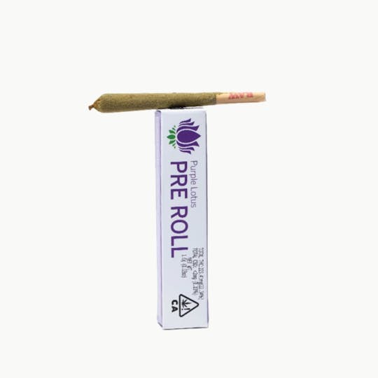 Purple Lotus - BISCOTTI INFUSED PREROLL 1g - 1