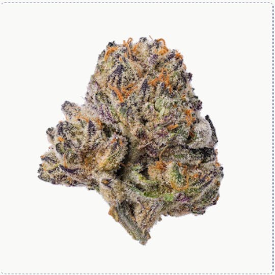 Purple Lotus - BLUE CHIP - ETHER 1g - 1