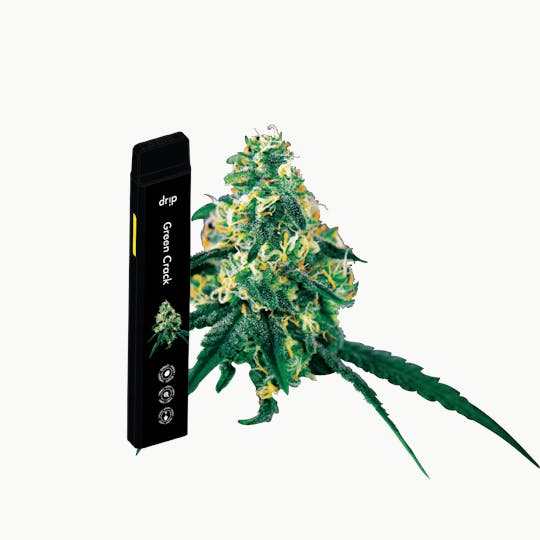 Drip Vapes - Drip 2g All In One (MED) - Green Crack (Sativa) - 1