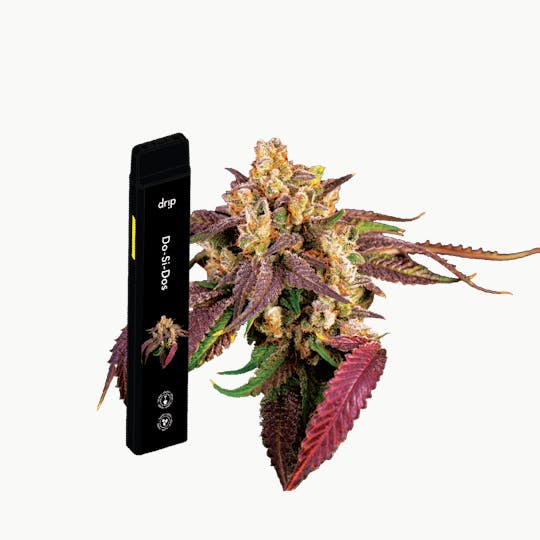 Drip Vapes - Drip 2g All In One (MED) - Do-Si-Dos (Indica) - 1
