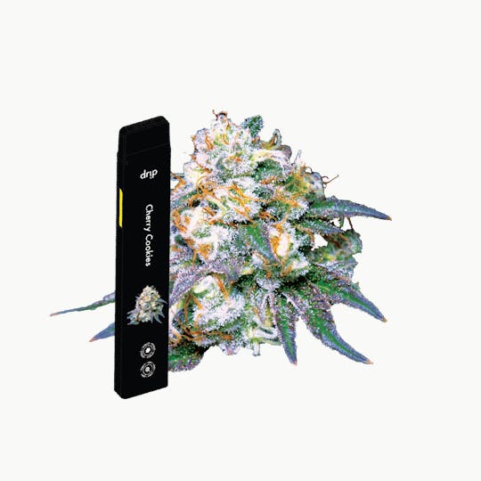 Drip Vapes - Drip 2g All In One (MED) - Cherry Cookies (Hybrid) - 1