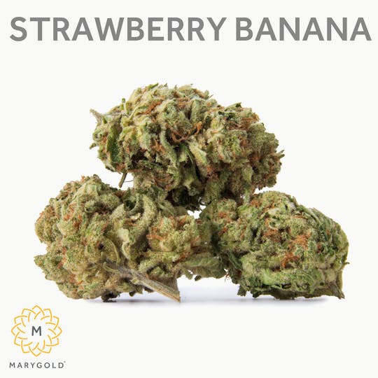 Marygold - Strawberry Banana 14g (Hybrid 33% THC) - 1