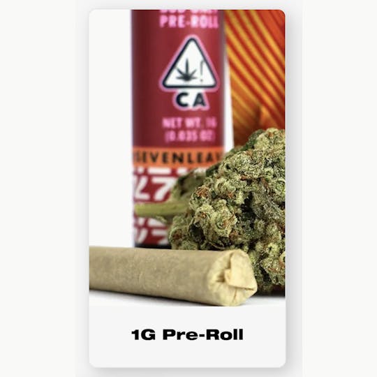 Seven Leaves - Violet Fog Pre-Roll - 1