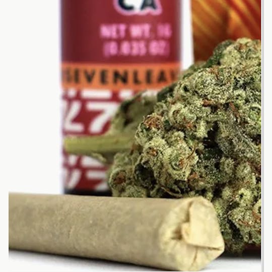 Seven Leaves - Blue Dream Pre Roll - 1