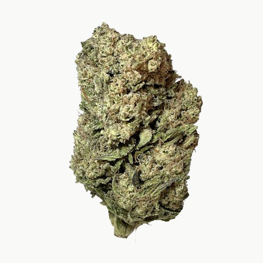 Smoakland - Exotix - Top Gun (H) - 14g - 1