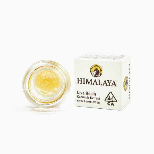 HIMALAYA - Garlic Juice (Live Resin Concentrate) - 1G - 1
