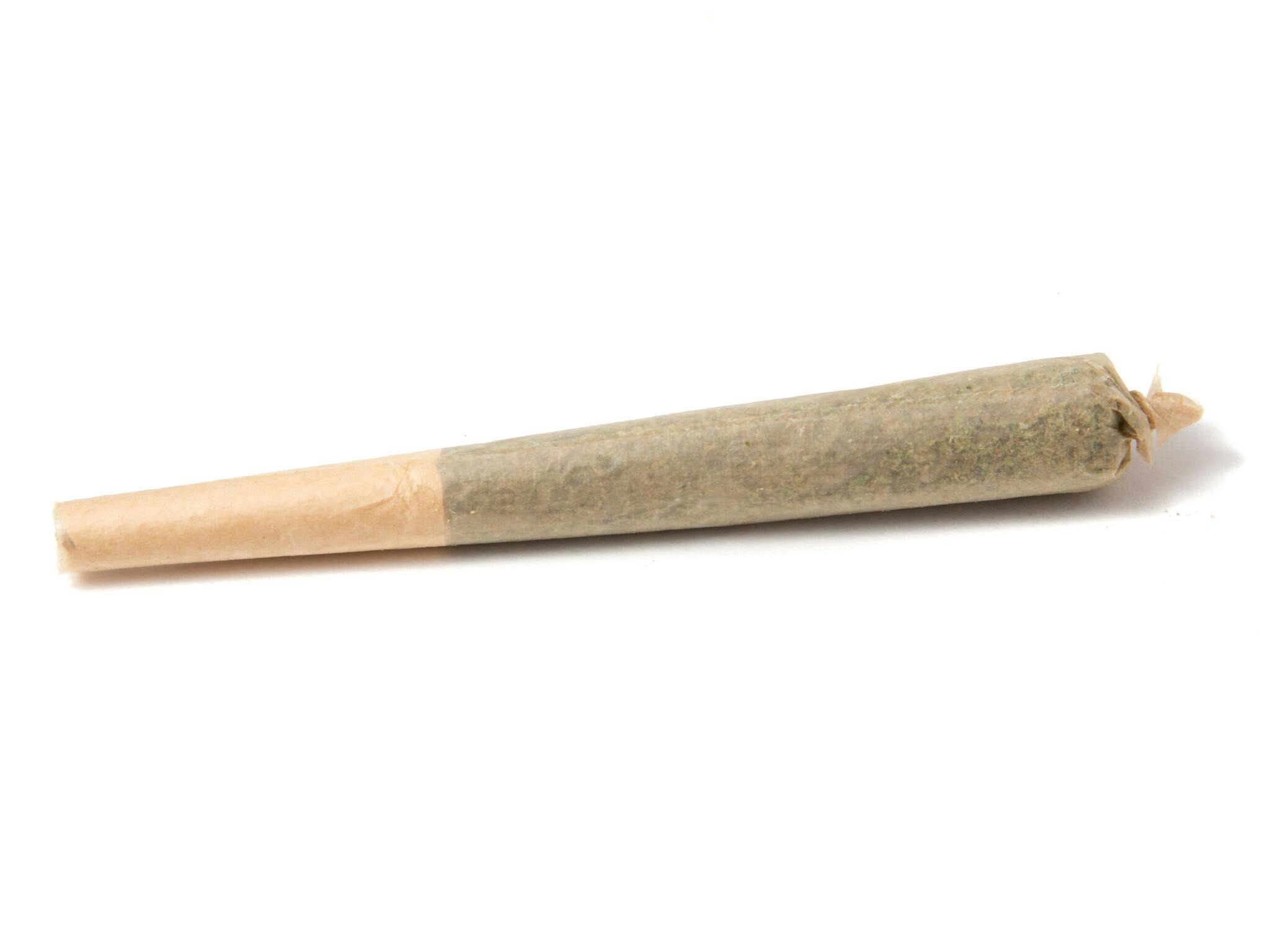 Original Intelligence - Pre-Roll 0.5g 2 pack - Indica Blend (SFV X Tahoe X Skywalker) - 1
