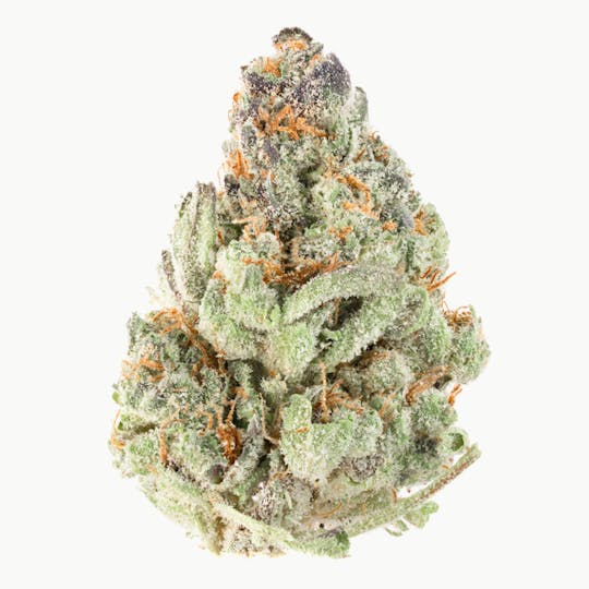 Joy Ridge Farms - Gelatti - 1
