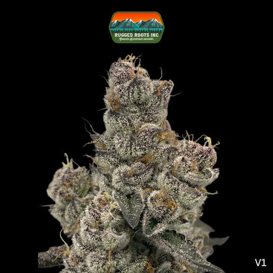 Rugged Roots - Rugged Roots | Bahama Mama 3.5g Smalls - 1