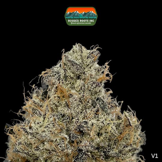 Rugged Roots - Rugged Roots - Edo G 3.5g Smalls Flower - 1
