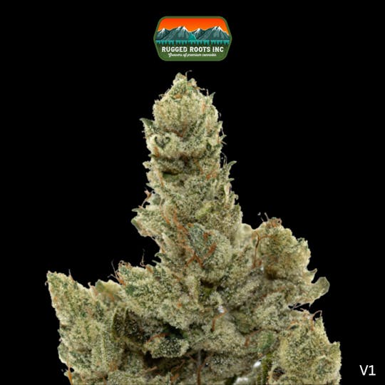 Rugged Roots - Rugged Roots | Gorilla Glue #4 3.5g Smalls - 1
