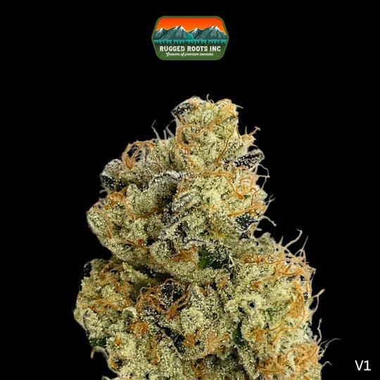 Rugged Roots - Rugged Roots | Hollow Bones 3.5g Smalls - 1