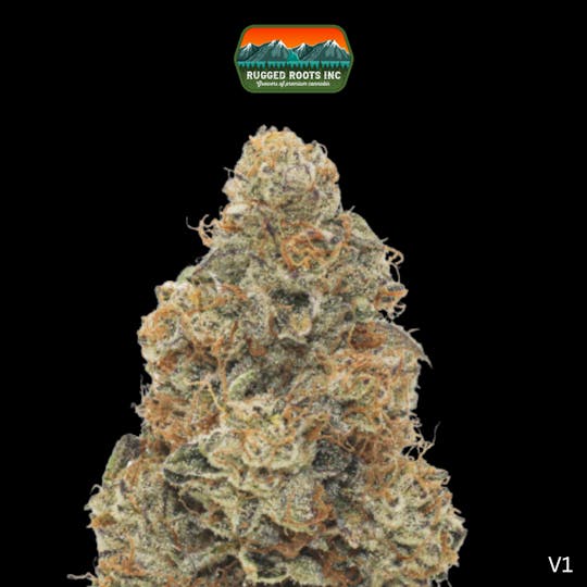 Rugged Roots - Rugged Roots | Khalifa Kush 3.5g Smalls - 1