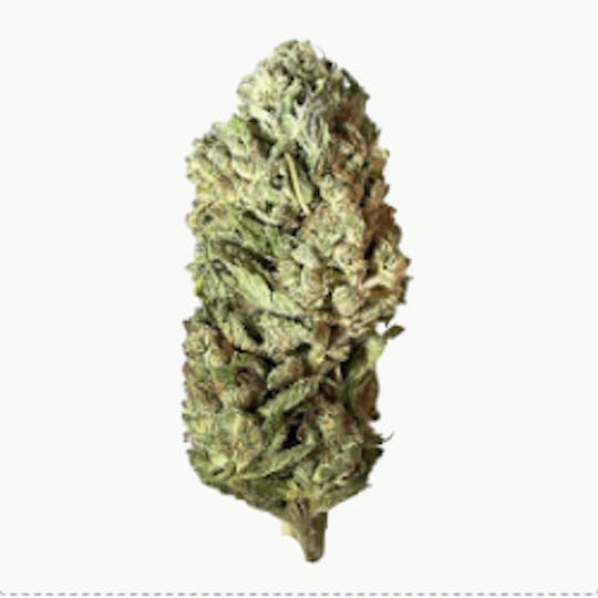 Smoakland - Exclusive - Froot by the Foot (I) - 28g - 1