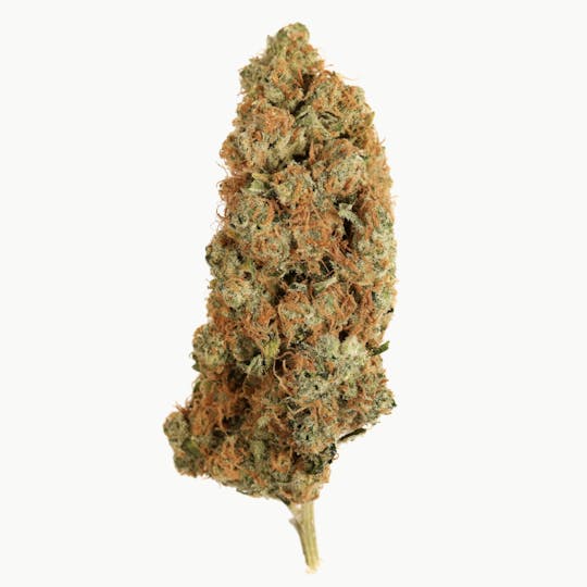 Seed & Smith Cannabis - Orange Cookie Chem - 1