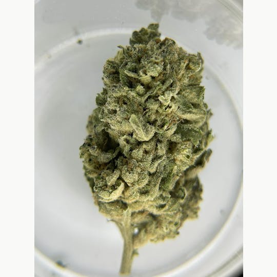 Trusty Transportations - Purple Princess 1/2Ounce/14Grams(28%THC,INDICA) - 1