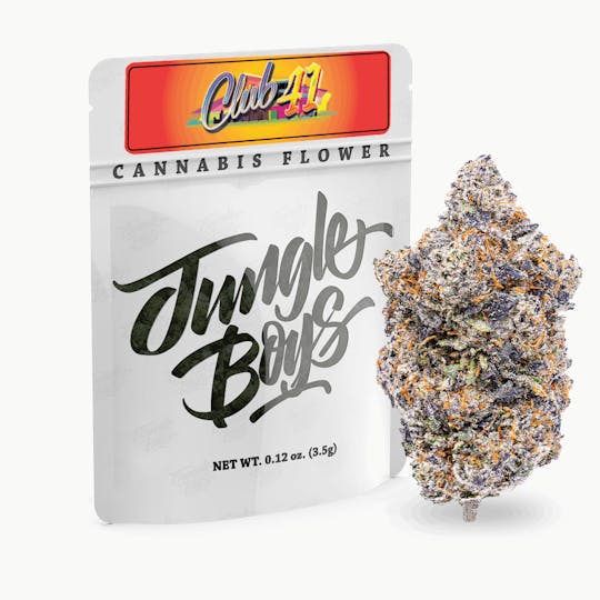 Jungle Boys - Jungle Boys | Club 41 - 3.5g Flower - 1