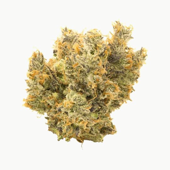 Culta - Guava Lava (Smalls) | 1/8th - 1