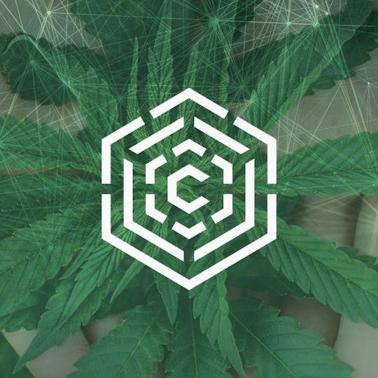 Culta - Red Delicious Pre-Rolls | 3 x 0.5g - 1