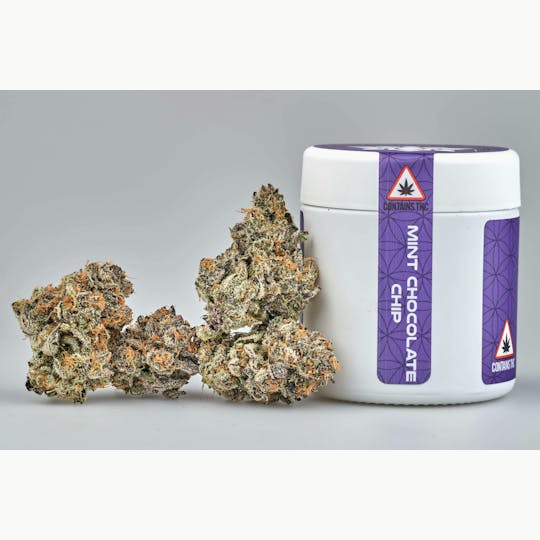 Ripple Wellness - Flower - BLOW OUT - Mint Chocolate Chip - 1