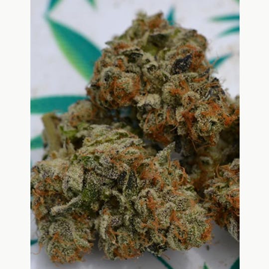 Stella's Farm - Bear Mace - 1