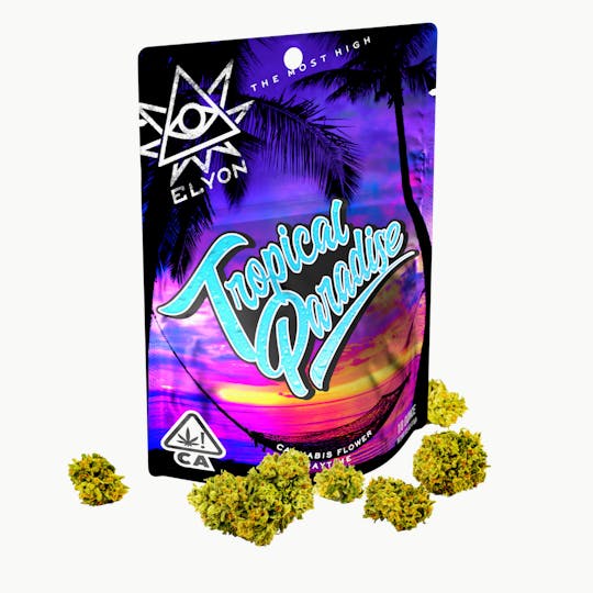Bango Distribution - Tropical Paradise - 1