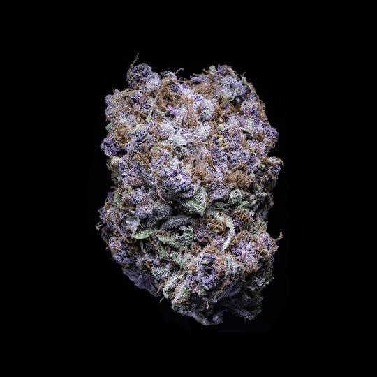 Sooner Glue - Blueberry Tide - 1