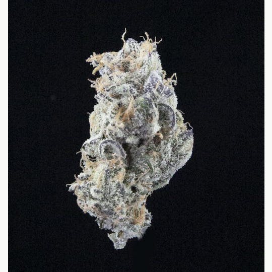 Sooner Glue - Candy Queen - 1