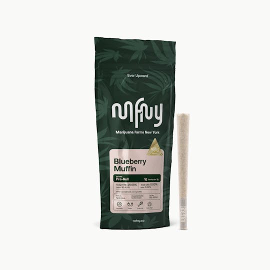MFNY - Blueberry Muffin Infused Pre-roll | 1g - 1