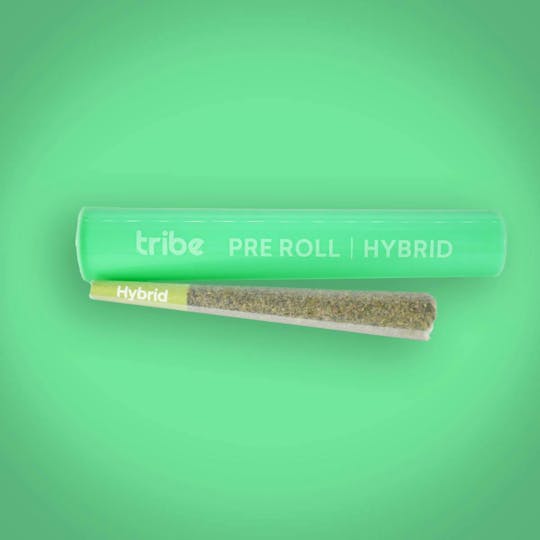 Tribe - Blueberry Runtz - Hybrid - Flower Pre Roll - 1g - 1