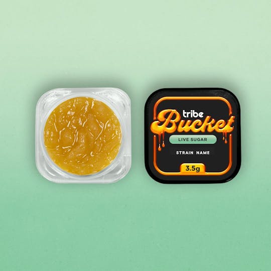 Tribe - Butter Kush - Live Sugar - Bucket - 3.5g - 1