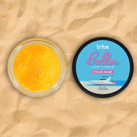 Tribe - Citrus Glue - Live Sugar - Baller - 7g - 1