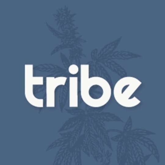 Tribe - Collie Man Kush - Hashimals - Live Hash Rosin - Lion -1.5g - 1