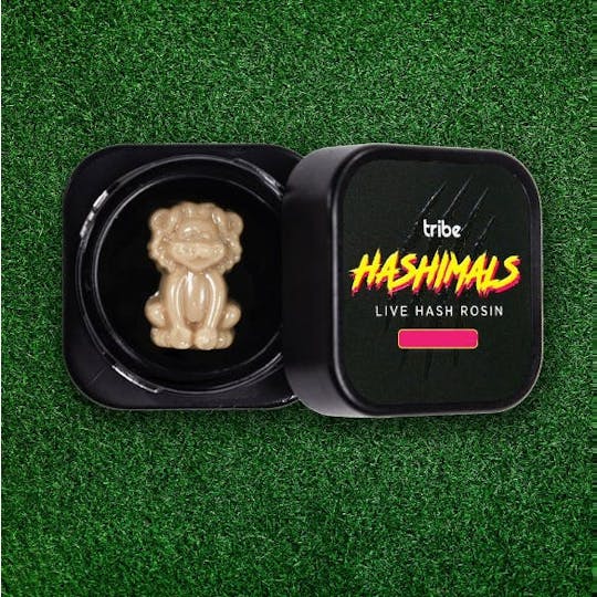 Tribe - Juicy Froot - Hashimals - Live Hash Rosin - Lion -1.5g - 1