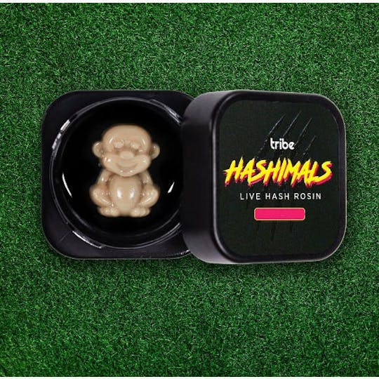 Tribe - Juicy Froot - Hashimals - Live Hash Rosin - Monkey -1.5g - 1