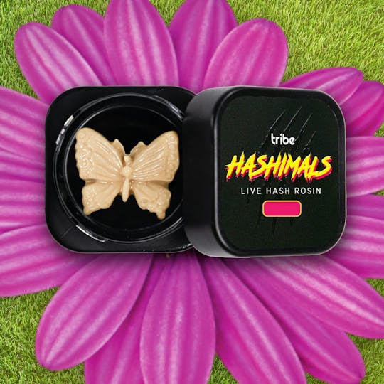 Tribe - Juicy Froots - Hashimals - Live Hash Rosin - Butterfly - 2g - 1