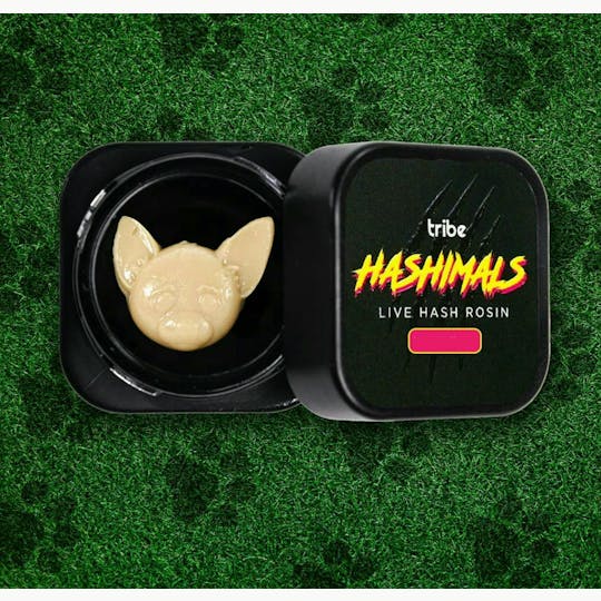 Tribe - Juicy Froots - Hashimals - Live Hash Rosin - Chihuahua -1g - 1