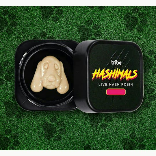 Tribe - Juicy Froots - Hashimals - Live Hash Rosin - Hound Dog -1g - 1