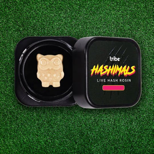 Tribe - Juicy Froots - Hashimals - Live Hash Rosin - Owl - 1g - 1
