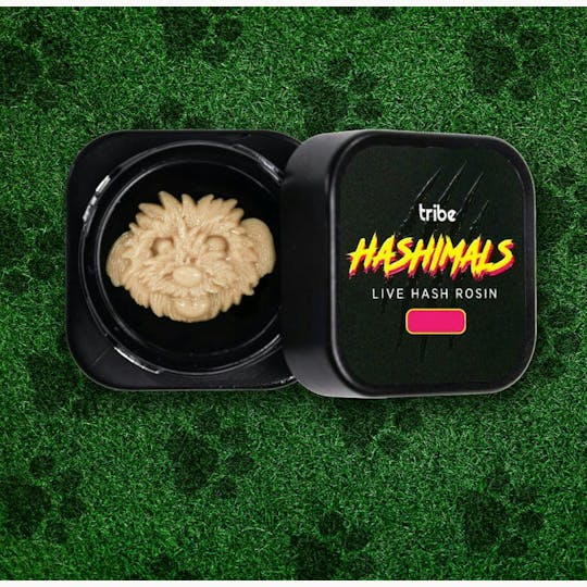 Tribe - Juicy Froots - Hashimals - Live Hash Rosin - Toto -1g - 1