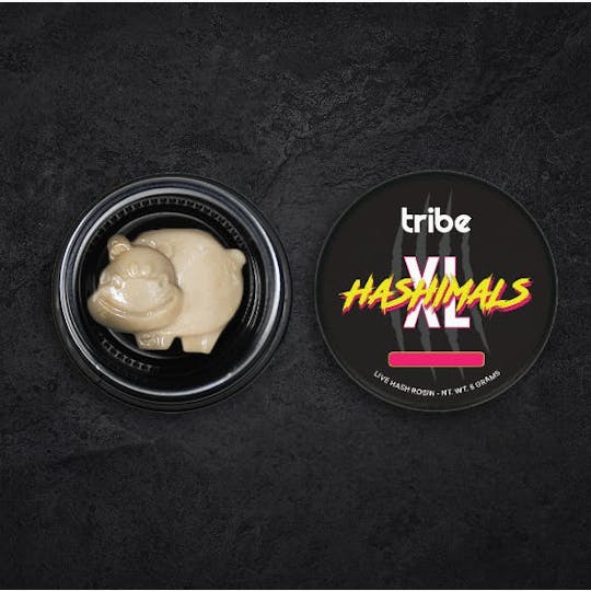Tribe - Juicy Froots - XL Hashimals - Live Hash Rosin - Hippo - 5g - 1