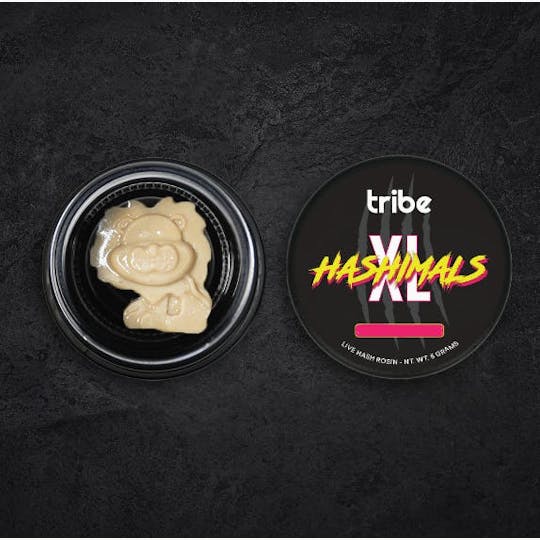 Tribe - Juicy Froots - XL Hashimals - Live Hash Rosin - Lion - 5g - 1