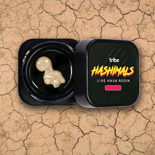 Tribe - Raspberry Parfait - Hashimals - Live Hash Rosin - Brontosaurus - 0.5g - 1