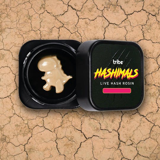 Tribe - Raspberry Parfait - Hashimals - Live Hash Rosin - T-Rex - 0.5g - 1
