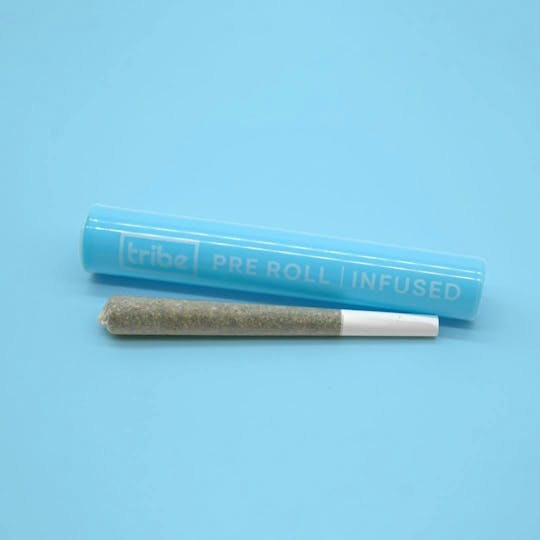 Tribe - Zombie Side Snack - THCa Infused Preroll - 1g - 1