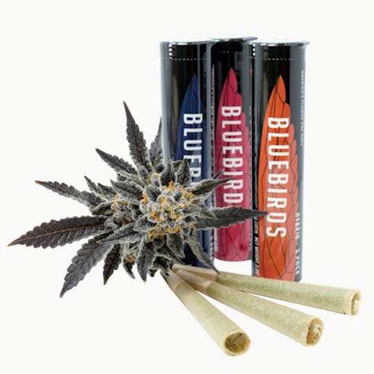 BlueBirds - Apples and Bananas 3pk Preroll 3g - 1