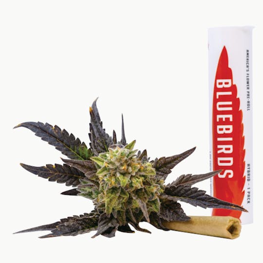 BlueBirds - LA Kush Cake Preroll 1g - 1