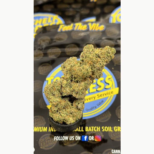 Top Shelf Express - Apple Fritter Budlets (3.5g) - 1